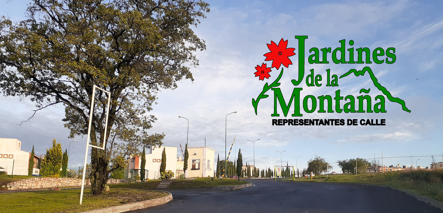 <span style="font-weight: bold;">Crear el Comité de Administración del Fracc. Jardines de la Montaña<br></span>